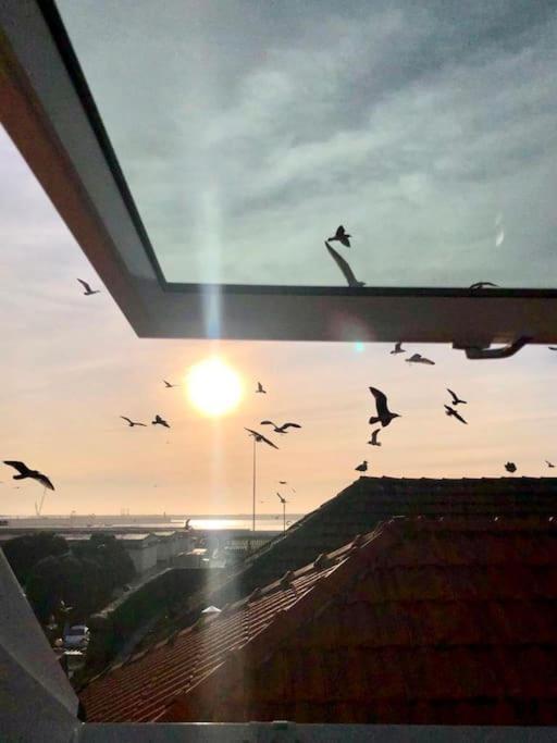 Lobo Do Mar Matosinhos Beach Loft Dış mekan fotoğraf